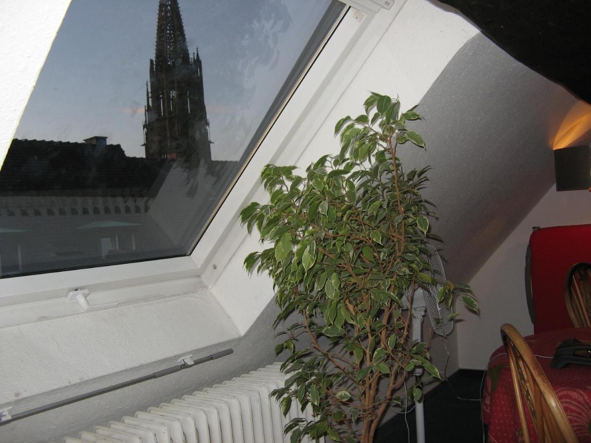 Gasthaus Loewen Freiburg im Breisgau Kültér fotó